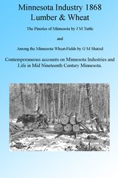 Minnesota Industry 1868: Wheat and Lumber, Illustrated