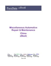 Miscellaneous Automotive Repair & Maintenance in China