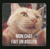 Mon chat fait un selfie !