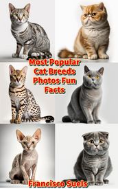 Most Popular Cat Breeds Photos Fun Facts