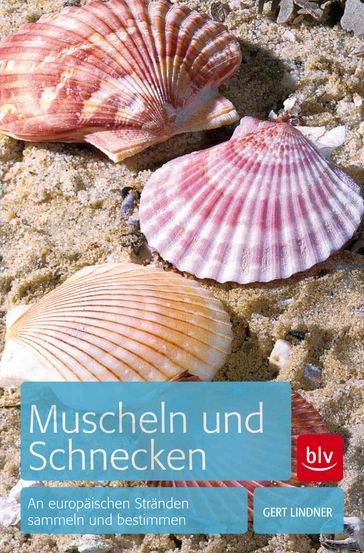 Muscheln und Schnecken - Gert Lindner