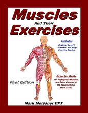 Muscles and Their Exercises