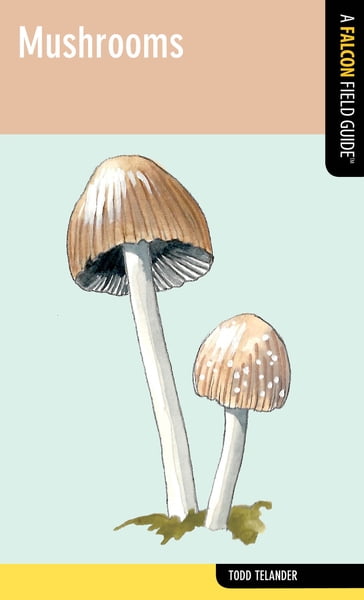 Mushrooms - Todd Telander