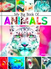 My Big Book of Animals