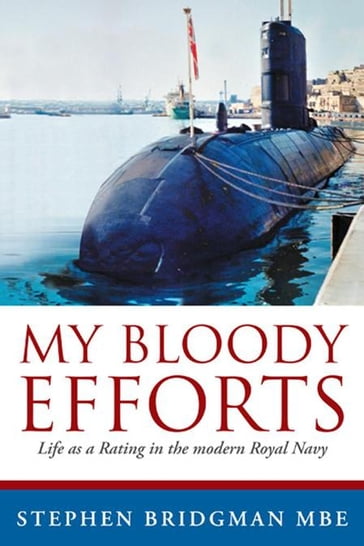 My Bloody Efforts - Stephen Bridgman MBE