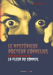 Le Mystérieux Docteur Cornélius, épisode 13