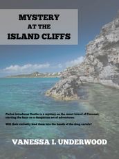 Mystery at the Island Cliffs