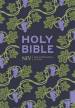 NIV Holy Bible (Hodder Classics)
