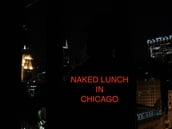 Naked Lunch in Chicago