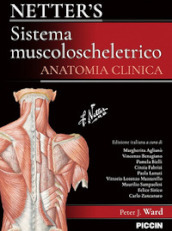 Netter s. Sistema muscoloscheletrico. Anatomia clinica