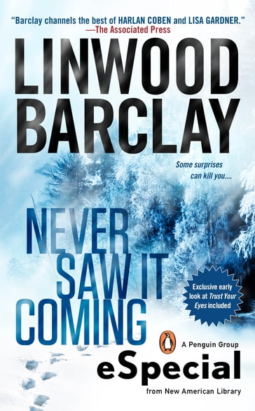Never Saw It Coming - Linwood Barclay