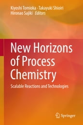 New Horizons of Process Chemistry