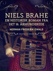 Niels Brahe - en historisk roman fra det 16. arhunderede