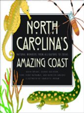 North Carolina s Amazing Coast