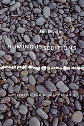 Numinous Seditions