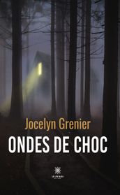 Ondes de choc