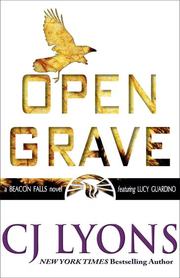 Open Grave - CJ Lyons