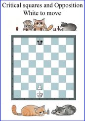 Opposition and critical Squares. The most important Chess Pattern