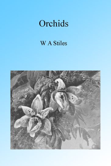 Orchids, Illustrated - W A Stiles