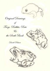 Original Drawings of Frogs, Rabbits, Rats and the South Bank