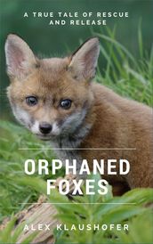 Orphaned Foxes: A true tale of rescue and release