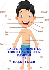 PARTE DI CORPO E LA LORO FUNZIONE PER BAMBINI