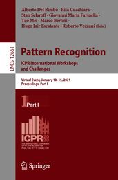 Pattern Recognition. ICPR International Workshops and Challenges