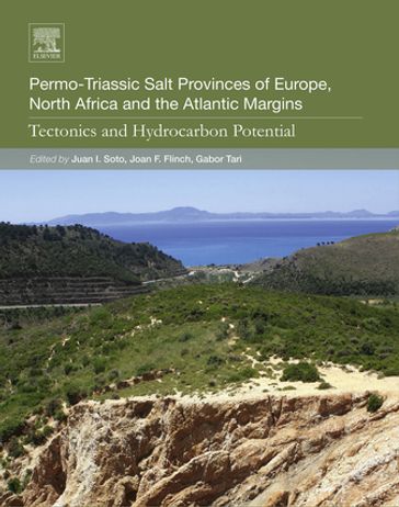 Permo-Triassic Salt Provinces of Europe, North Africa and the Atlantic Margins