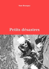 Petits désastres