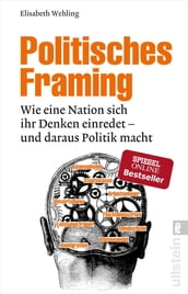 Politisches Framing