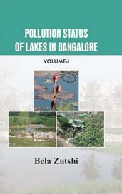 Pollution Status Of Lakes In Bangalore