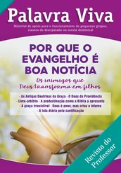 Por que o evangelho é a boa notícia? - Revista do professor