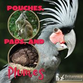 Pouches, Pads, and Plumes