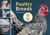 Poultry Breeds