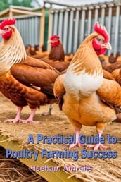 A Practical Guide to Poultry Farming Success
