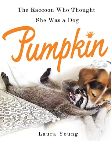 Pumpkin: The Raccoon Who Thought She Was a Dog - Laura Young