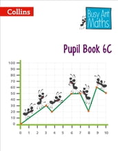 Pupil Book 6C (Busy Ant Maths)