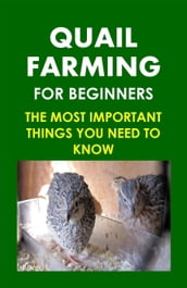 Quail Farming For Beginners: The Most Important Things You Need To Know