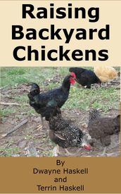 Raising Backyard Chickens