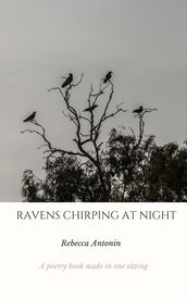Ravens Chirping At Night