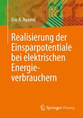 Realisierung der Einsparpotentiale bei elektrischen Energieverbrauchern