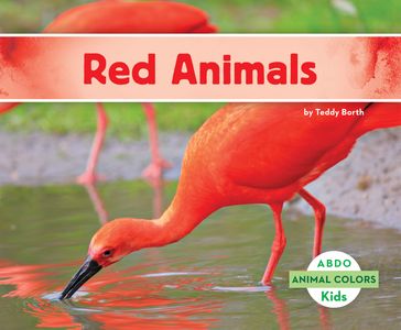 Red Animals - Teddy Borth