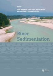 River Sedimentation