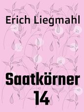 Saatkörner 14