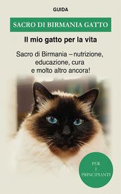 Sacro di birmania gatto