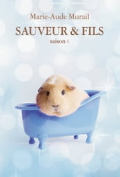 Sauveur & Fils, Saison 1