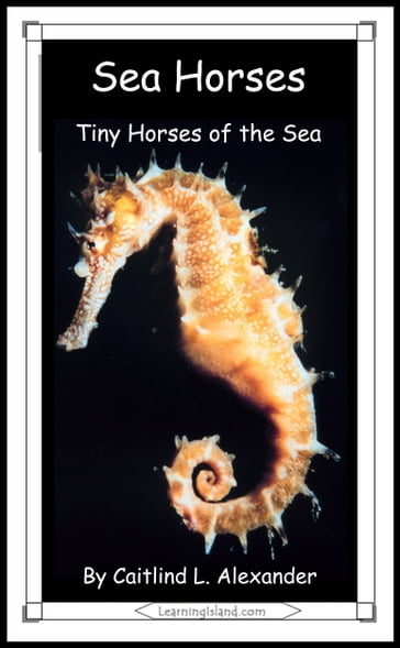 Sea Horses: Tiny Horses of the Sea - Caitlind L. Alexander