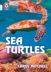 Sea Turtles