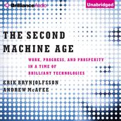 Second Machine Age, The