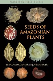 Seeds of Amazonian Plants